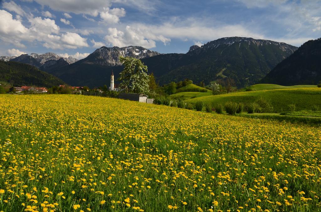 Alpenlodge プフロンテン エクステリア 写真